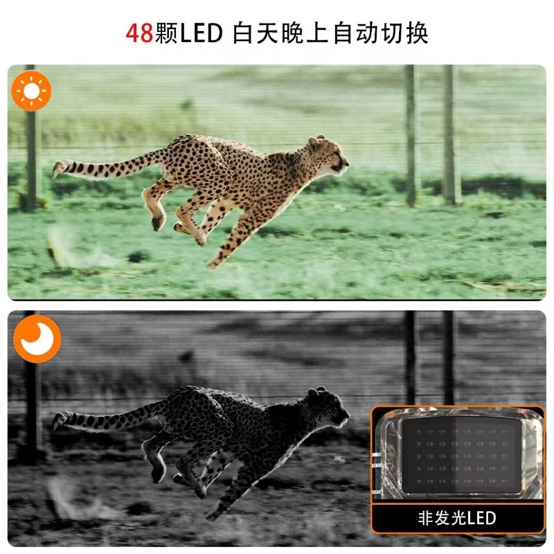 HOT SALE DL001 Hunting Camera  - огляд і ціна Runcam Camera
