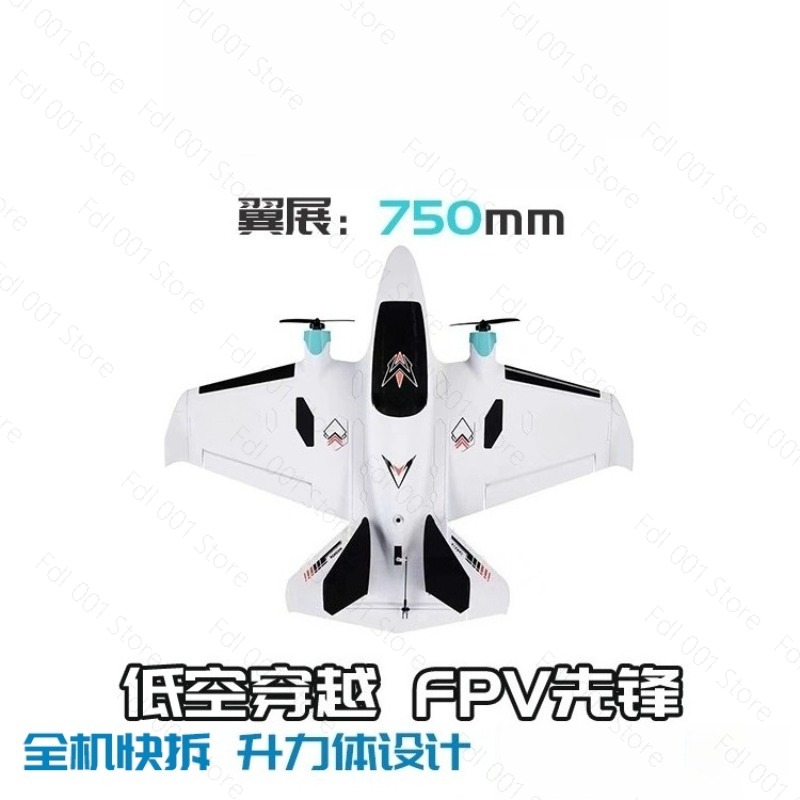 Dual Motor FPV Fixed Wing RC A - огляд і ціна Fpv Drone